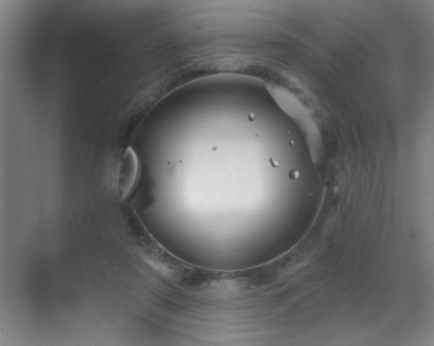 X0000071340307200606231145