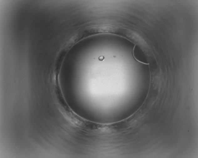 X0000071340310200606231145