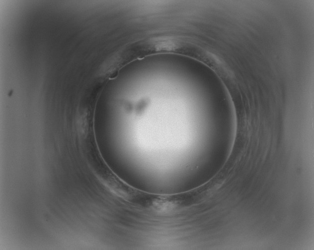 X0000071340311200606231145