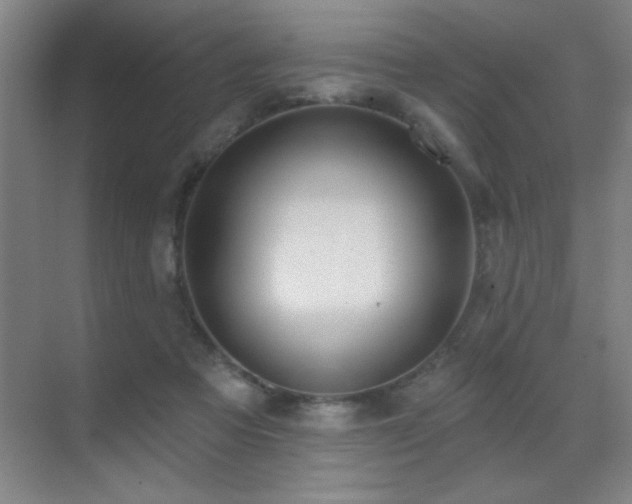 X0000071340313200606231145