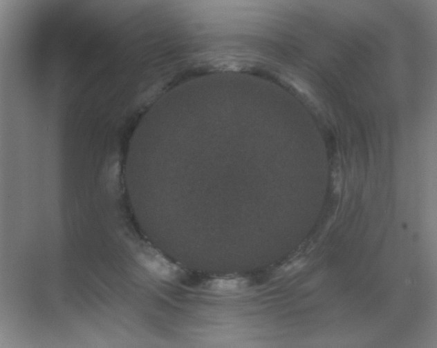 X0000071340314200606231145