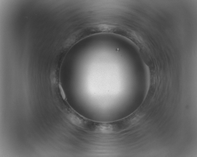 X0000071340317200606231145