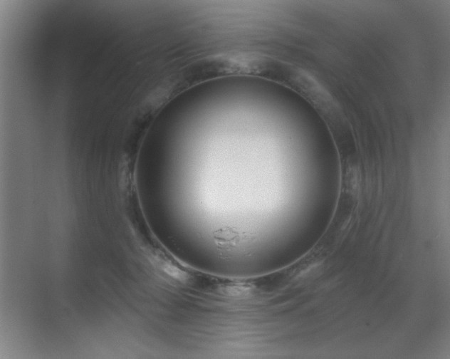 X0000071340318200606231145