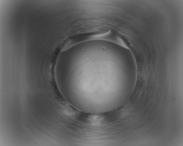 X0000071340319200606231145