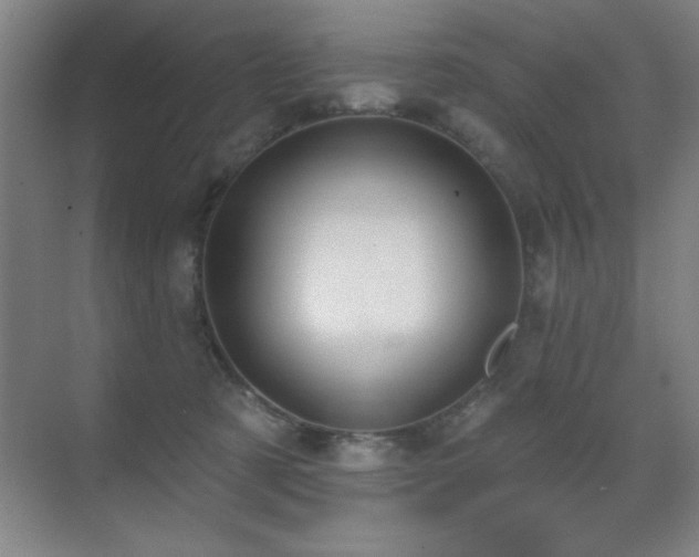 X0000071340321200606231145