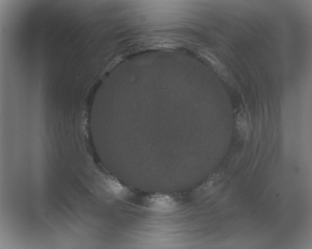 X0000071340322200606231145