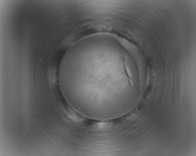 X0000071340323200606231145