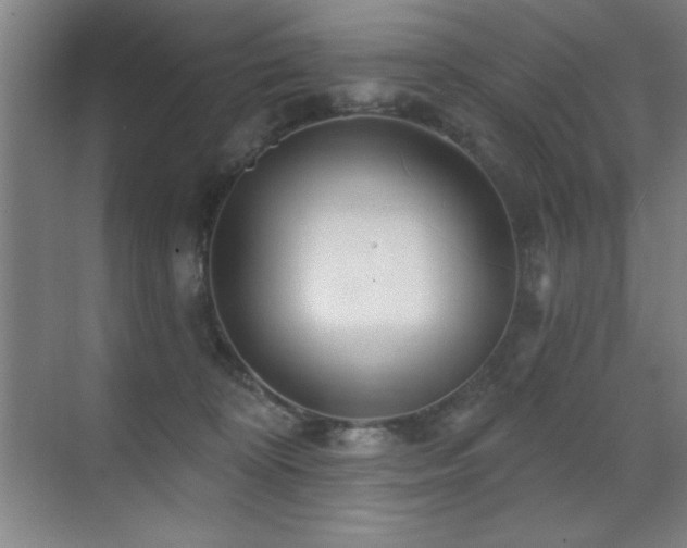 X0000071340324200606231145