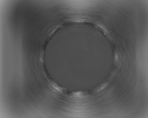 X0000071340325200606231145