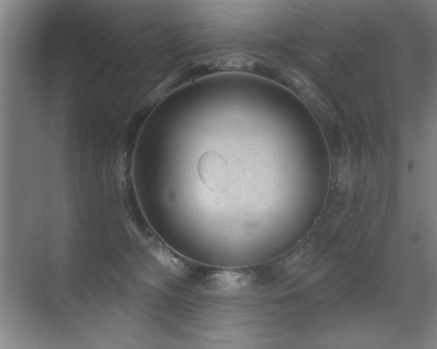 X0000071340326200606231145