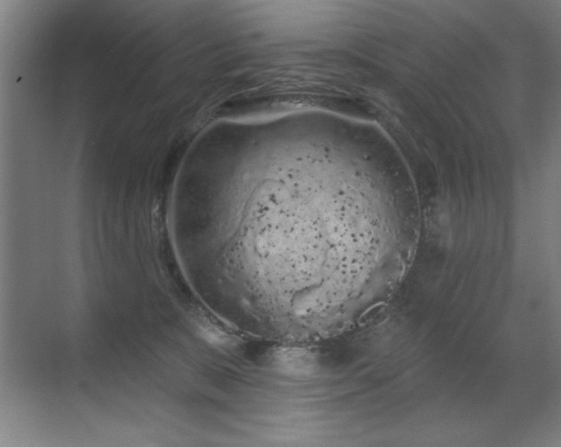 X0000071340327200606231145