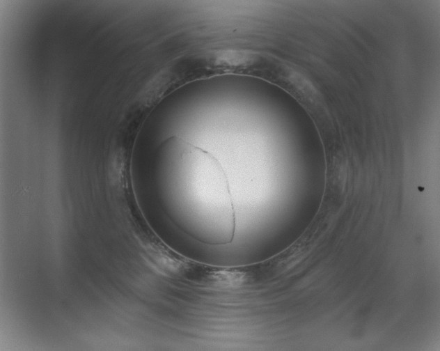 X0000071340328200606231145