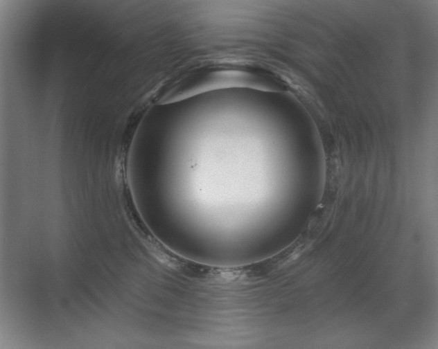 X0000071340329200606231145