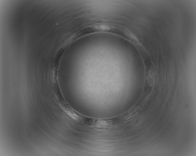 X0000071340330200606231145