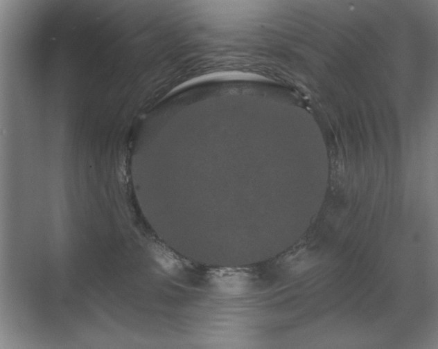 X0000071340331200606231145