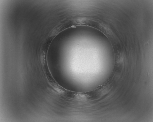 X0000071340332200606231144