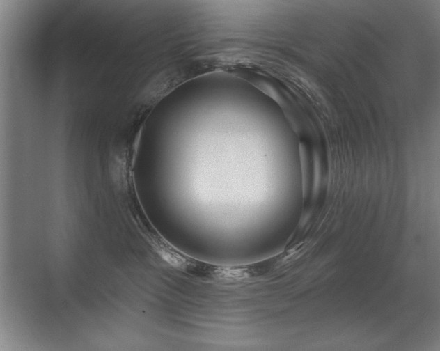 X0000071340333200606231144