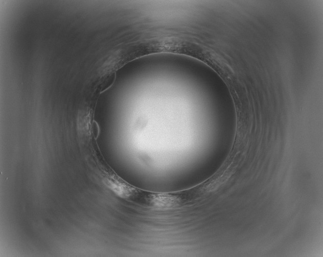 X0000071340336200606231144