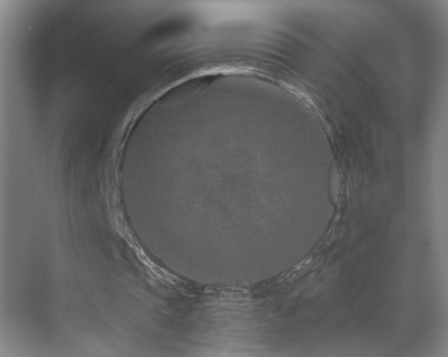 X0000071340337200606231144