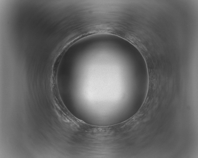 X0000071340338200606231144