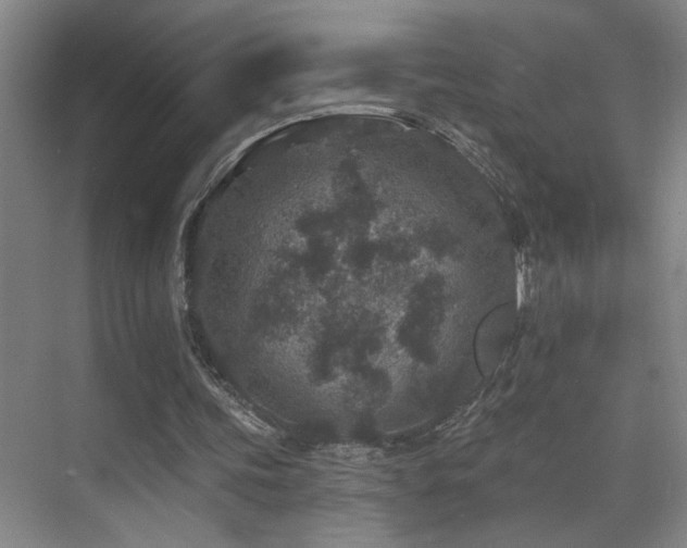 X0000071340339200606231144