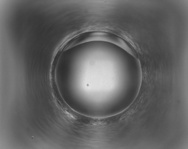 X0000071340340200606231144