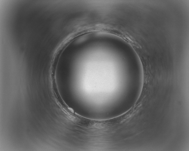 X0000071340341200606231144