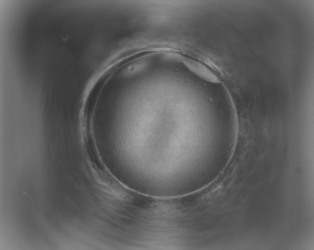 X0000071340343200606231144