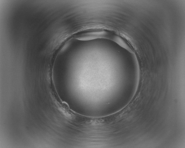 X0000071340345200606231144