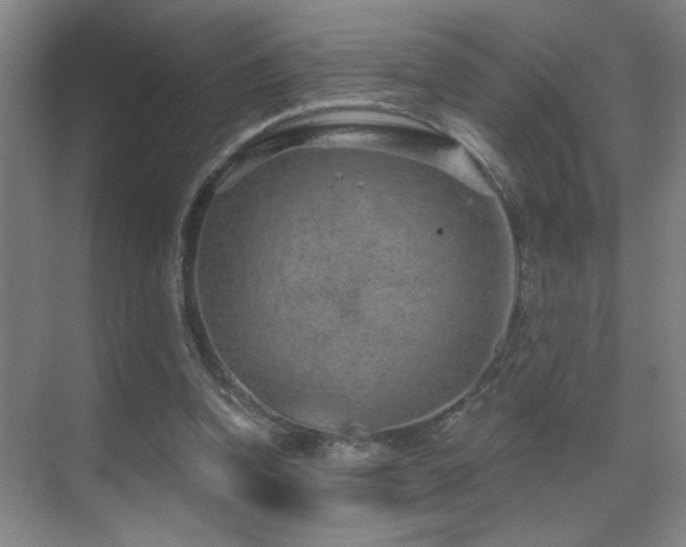 X0000071340346200606231144