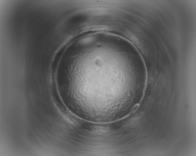 X0000071340347200606231144