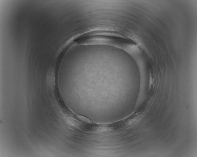 X0000071340348200606231144