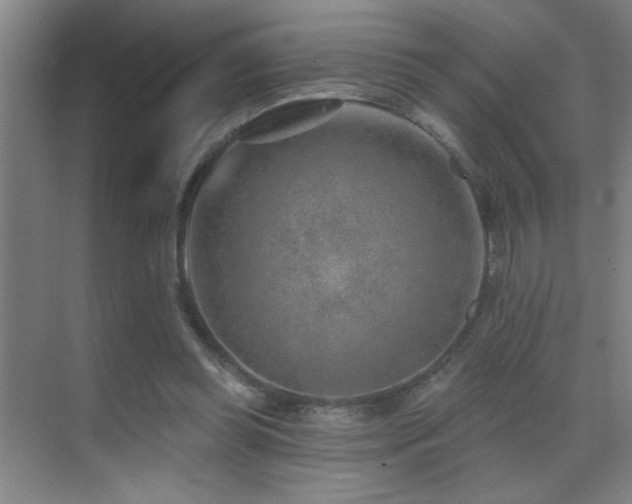 X0000071340349200606231144