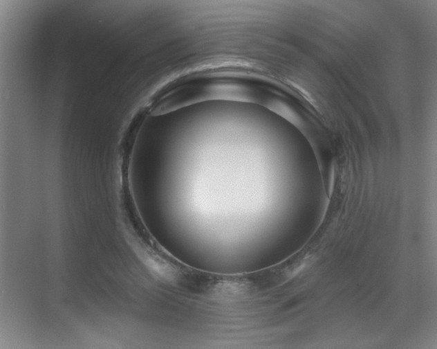 X0000071340350200606231144