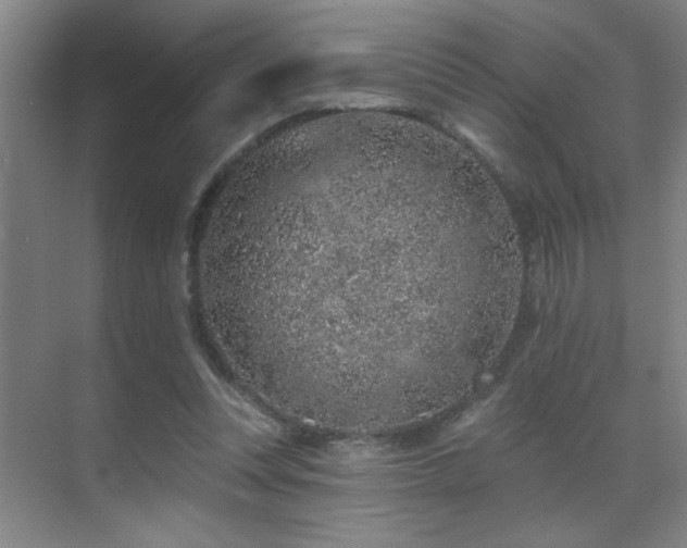 X0000071340351200606231144