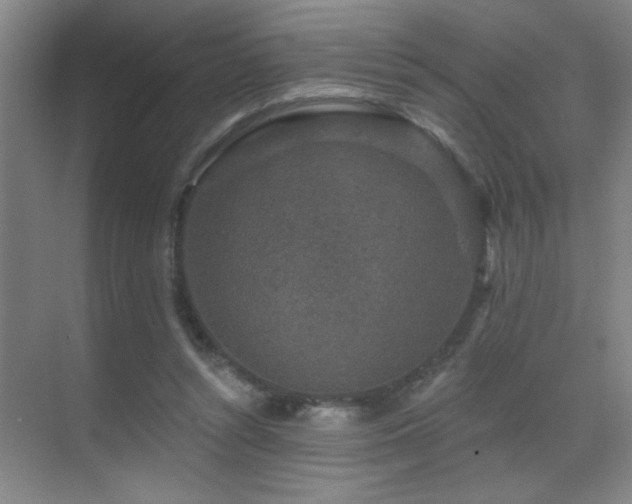 X0000071340352200606231144