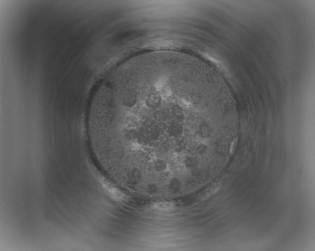 X0000071340353200606231144