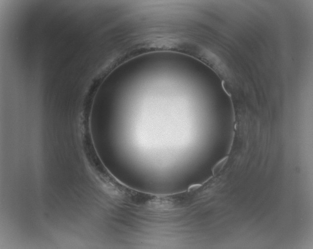 X0000071340354200606231144