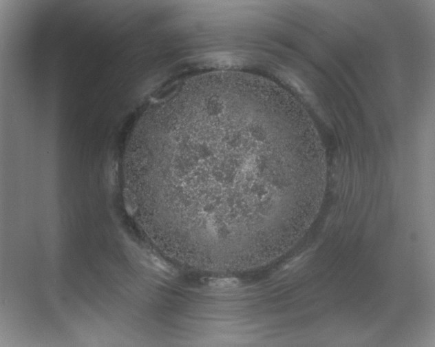 X0000071340355200606231144