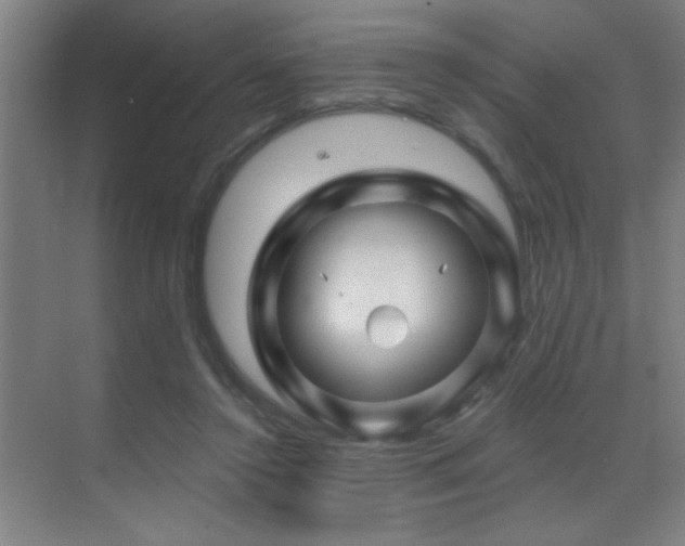 X0000071340356200606231144