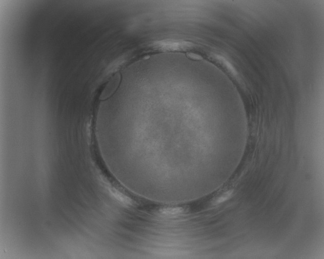 X0000071340357200606231144