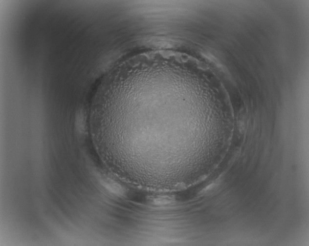 X0000071340359200606231144