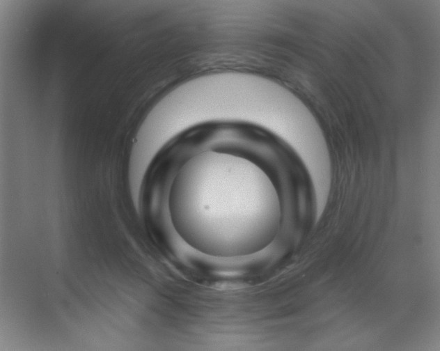 X0000071340360200606231144