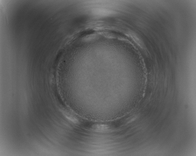 X0000071340361200606231144