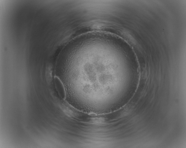 X0000071340363200606231144