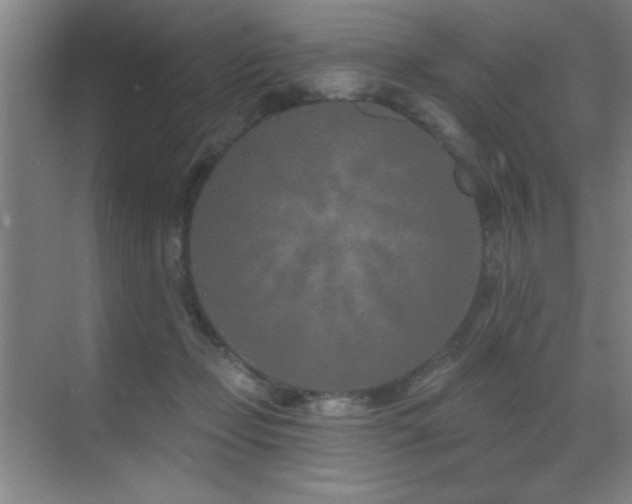 X0000071340365200606231144