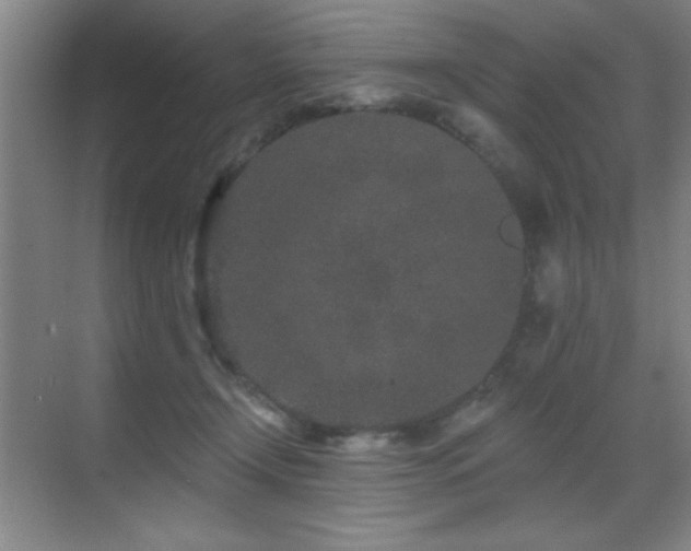 X0000071340366200606231144