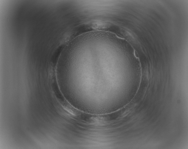 X0000071340367200606231144