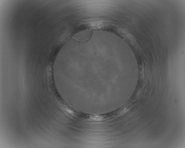 X0000071340369200606231144