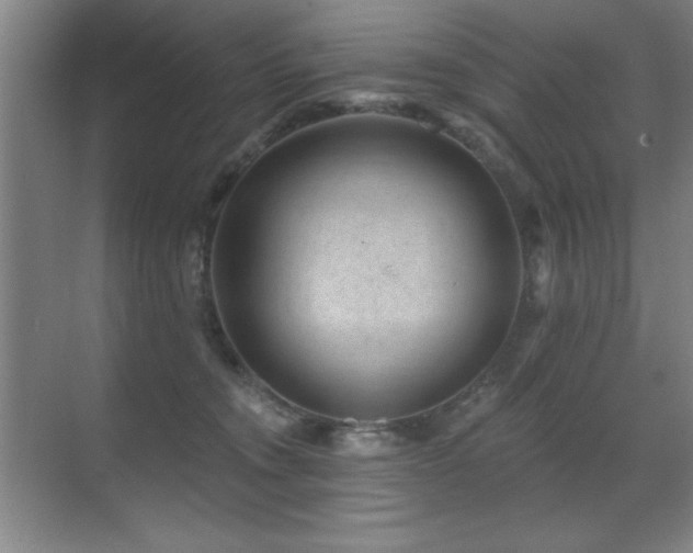 X0000071340372200606231144